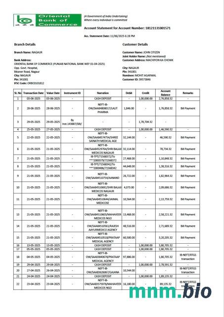 India Mobikwik transaction statement szablon Worda i PDF